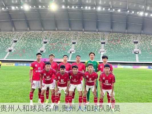 贵州人和球员名单,贵州人和球队队员