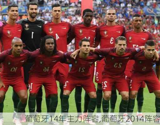 葡萄牙14年主力阵容,葡萄牙2014阵容