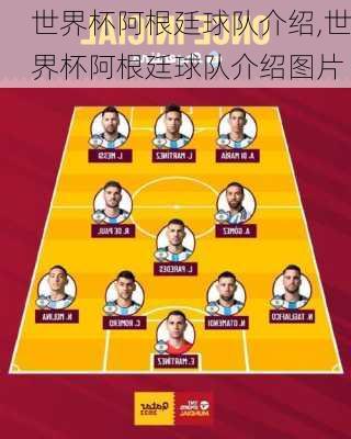 世界杯阿根廷球队介绍,世界杯阿根廷球队介绍图片