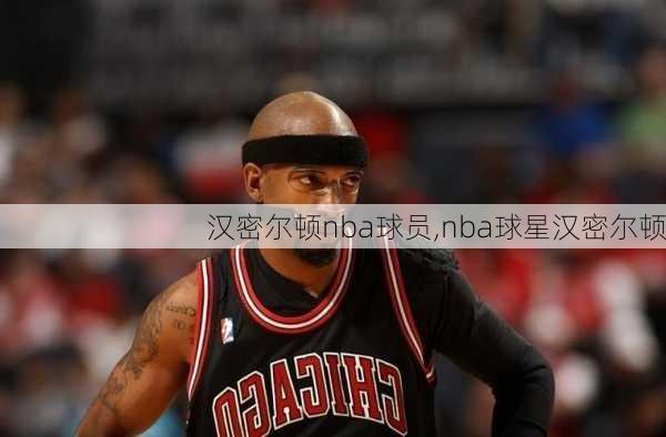 汉密尔顿nba球员,nba球星汉密尔顿