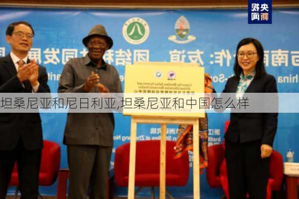 坦桑尼亚和尼日利亚,坦桑尼亚和中国怎么样