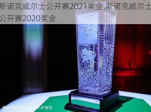 斯诺克威尔士公开赛2021奖金,斯诺克威尔士公开赛2020奖金