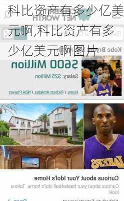 科比资产有多少亿美元啊,科比资产有多少亿美元啊图片