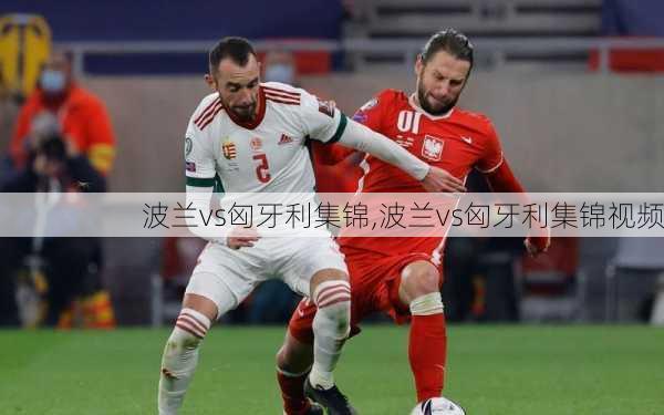 波兰vs匈牙利集锦,波兰vs匈牙利集锦视频