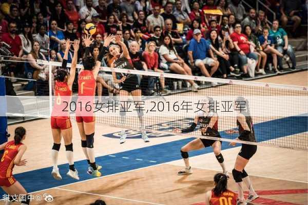 2016女排亚军,2016年女排亚军