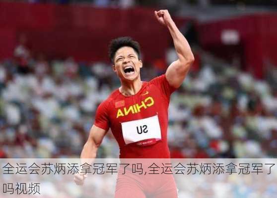 全运会苏炳添拿冠军了吗,全运会苏炳添拿冠军了吗视频