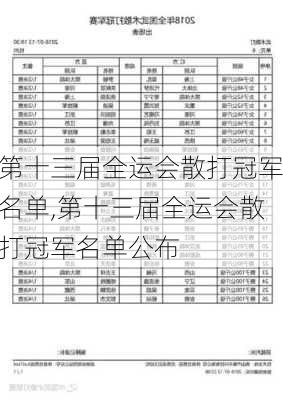 第十三届全运会散打冠军名单,第十三届全运会散打冠军名单公布