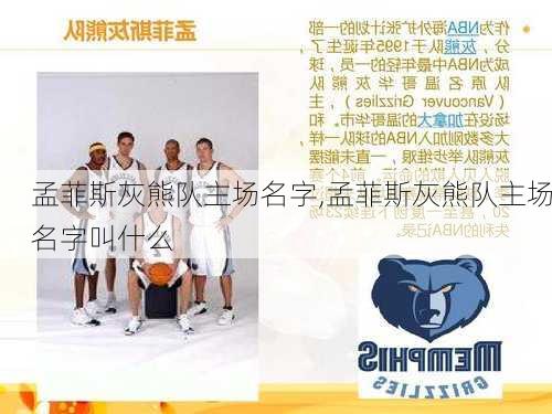 孟菲斯灰熊队主场名字,孟菲斯灰熊队主场名字叫什么