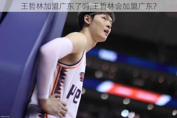 王哲林加盟广东了吗,王哲林会加盟广东?