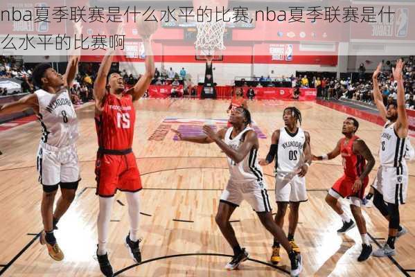nba夏季联赛是什么水平的比赛,nba夏季联赛是什么水平的比赛啊