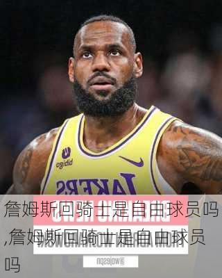 詹姆斯回骑士是自由球员吗,詹姆斯回骑士是自由球员吗