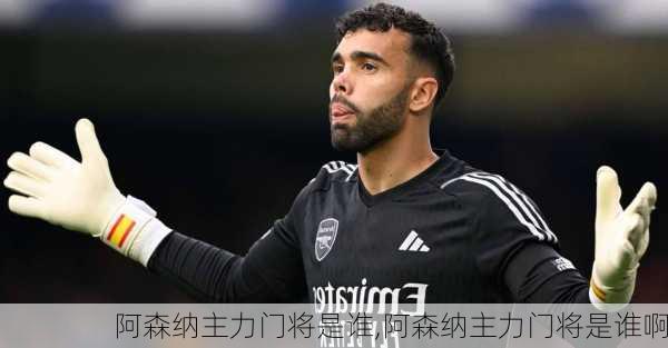阿森纳主力门将是谁,阿森纳主力门将是谁啊