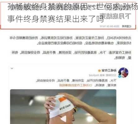 孙杨被终身禁赛的原因一世何求,孙杨事件终身禁赛结果出来了吗