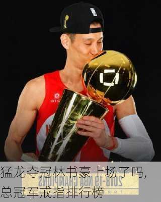 猛龙夺冠林书豪上场了吗,总冠军戒指排行榜