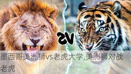 墨西哥美洲狮vs老虎大学,美洲狮对战老虎