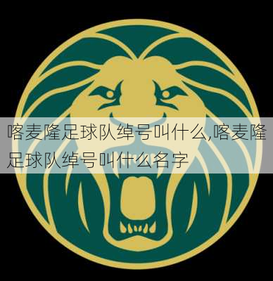 喀麦隆足球队绰号叫什么,喀麦隆足球队绰号叫什么名字