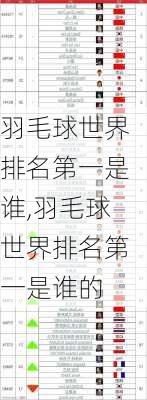 羽毛球世界排名第一是谁,羽毛球世界排名第一是谁的