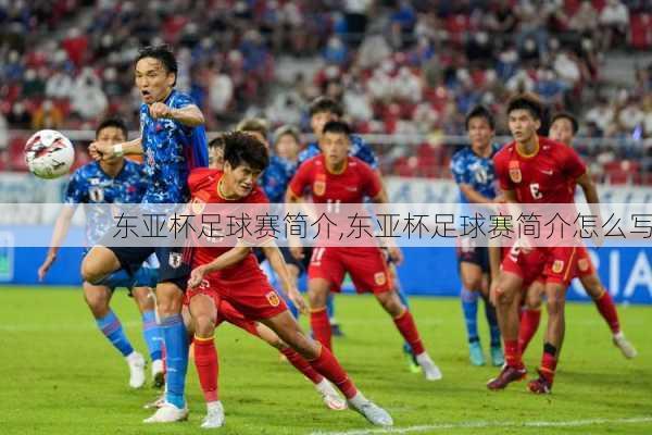 东亚杯足球赛简介,东亚杯足球赛简介怎么写