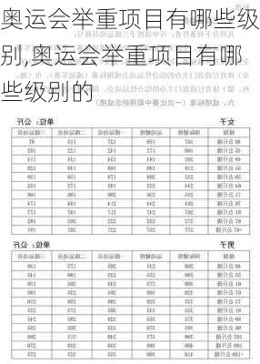 奥运会举重项目有哪些级别,奥运会举重项目有哪些级别的