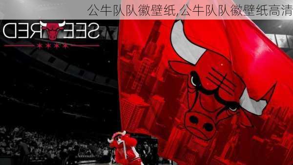 公牛队队徽壁纸,公牛队队徽壁纸高清