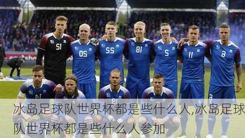 冰岛足球队世界杯都是些什么人,冰岛足球队世界杯都是些什么人参加