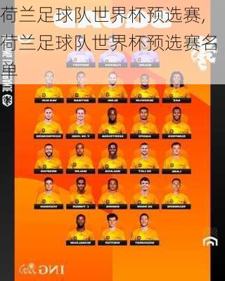 荷兰足球队世界杯预选赛,荷兰足球队世界杯预选赛名单