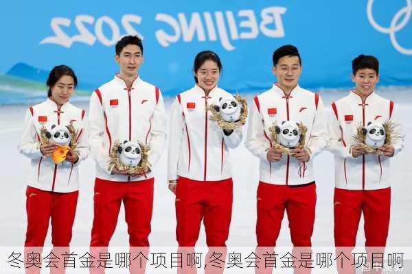 冬奥会首金是哪个项目啊,冬奥会首金是哪个项目啊