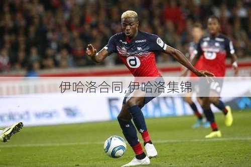 伊哈洛合同,伊哈洛集锦