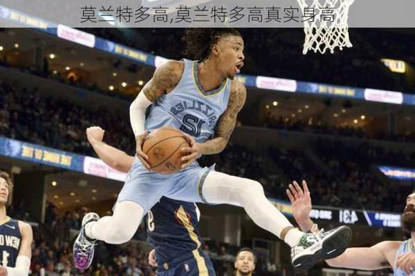 莫兰特多高,莫兰特多高真实身高