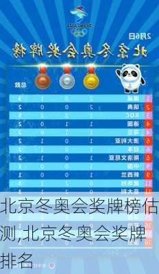 北京冬奥会奖牌榜估测,北京冬奥会奖牌排名