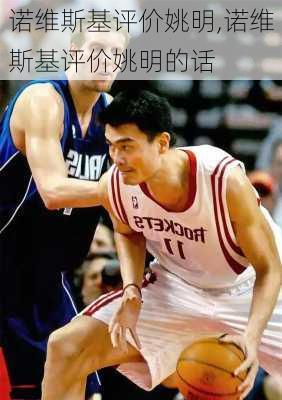 诺维斯基评价姚明,诺维斯基评价姚明的话
