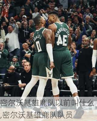 密尔沃基雄鹿队以前叫什么,密尔沃基雄鹿队队员