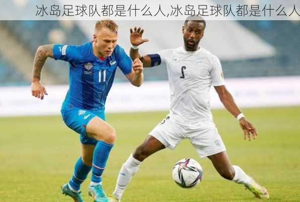 冰岛足球队都是什么人,冰岛足球队都是什么人