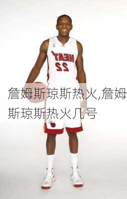 詹姆斯琼斯热火,詹姆斯琼斯热火几号