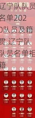 辽宁队队员名单2020队员及籍贯,辽宁队队员名单祖籍
