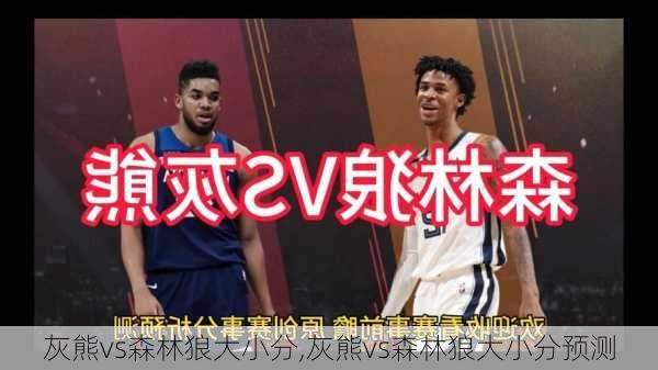 灰熊vs森林狼大小分,灰熊vs森林狼大小分预测