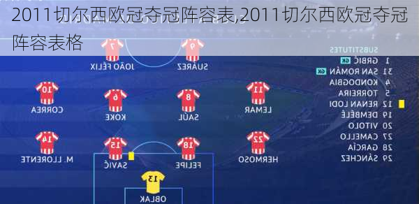 2011切尔西欧冠夺冠阵容表,2011切尔西欧冠夺冠阵容表格