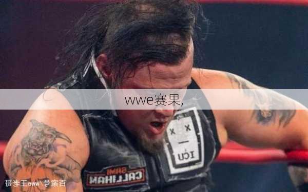 wwe赛果,