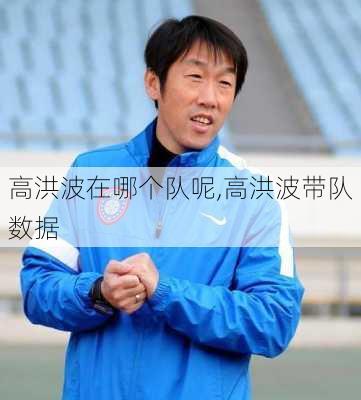 高洪波在哪个队呢,高洪波带队数据