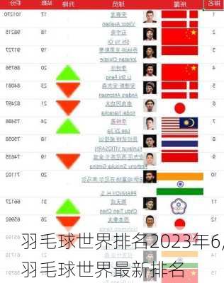 羽毛球世界排名2023年6,羽毛球世界最新排名