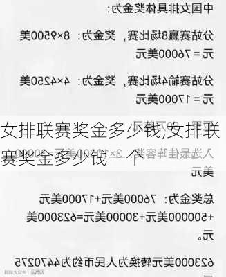 女排联赛奖金多少钱,女排联赛奖金多少钱一个