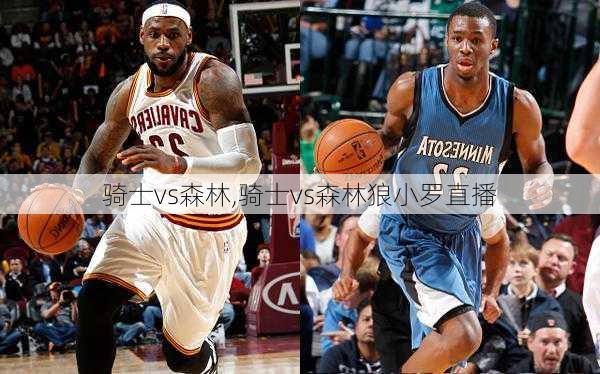 骑士vs森林,骑士vs森林狼小罗直播