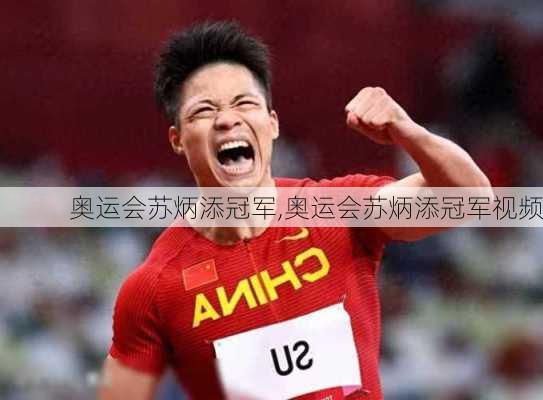 奥运会苏炳添冠军,奥运会苏炳添冠军视频