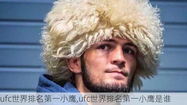 ufc世界排名第一小鹰,ufc世界排名第一小鹰是谁