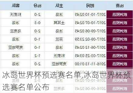 冰岛世界杯预选赛名单,冰岛世界杯预选赛名单公布