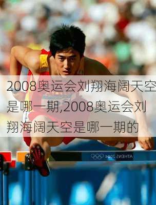 2008奥运会刘翔海阔天空是哪一期,2008奥运会刘翔海阔天空是哪一期的