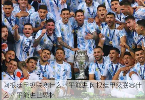 阿根廷甲级联赛什么水平能进,阿根廷甲级联赛什么水平能进世界杯