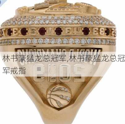 林书豪猛龙总冠军,林书豪猛龙总冠军戒指