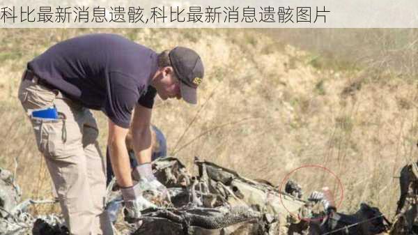 科比最新消息遗骸,科比最新消息遗骸图片