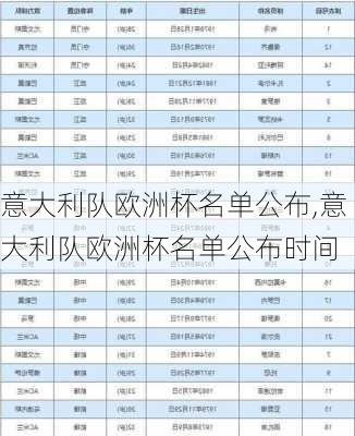 意大利队欧洲杯名单公布,意大利队欧洲杯名单公布时间